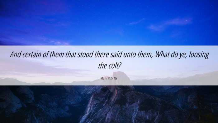Picture 06 - Mark 11:5 KJV Desktop Wallpaper - And certain of them that stood there said unto - Desktop Bible Verse Wallpaper