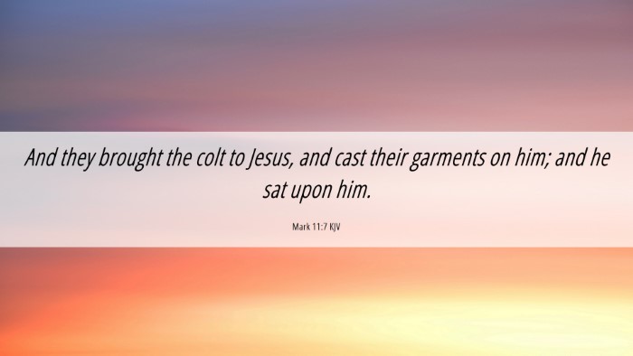 Picture 06 - Mark 11:7 KJV Desktop Wallpaper - And they brought the colt to Jesus, and cast - Desktop Bible Verse Wallpaper