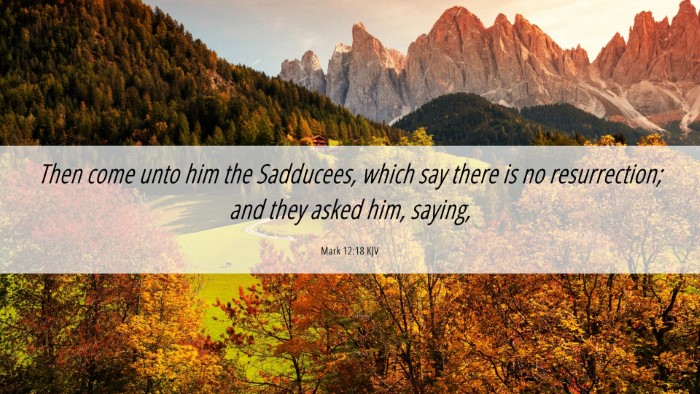 Picture 06 - Mark 12:18 KJV Desktop Wallpaper - Then come unto him the Sadducees, which say there - Desktop Bible Verse Wallpaper