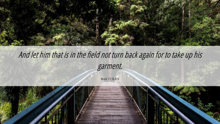 Picture 06 - Mark 13:16 KJV Desktop Wallpaper - And let him that is in the field not turn back - Desktop Bible Verse Wallpaper