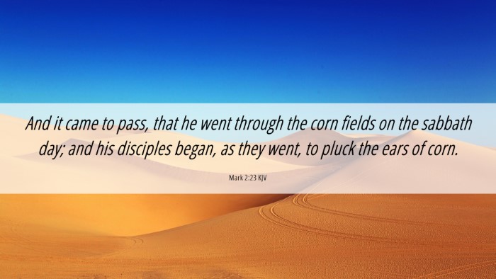 Picture 06 - Mark 2:23 KJV Desktop Wallpaper - And it came to pass, that he went through the - Desktop Bible Verse Wallpaper