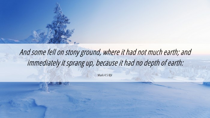 Picture 06 - Mark 4:5 KJV Desktop Wallpaper - And some fell on stony ground, where it had not - Desktop Bible Verse Wallpaper
