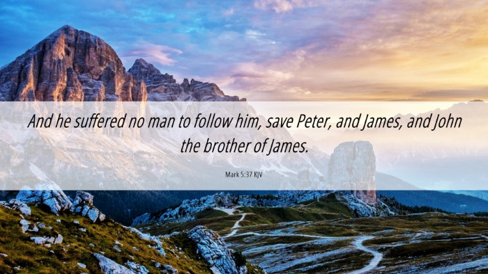 Picture 06 - Mark 5:37 KJV Desktop Wallpaper - And he suffered no man to follow him, save Peter, - Desktop Bible Verse Wallpaper