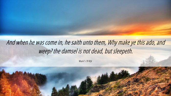 Picture 06 - Mark 5:39 KJV Desktop Wallpaper - And when he was come in, he saith unto them, Why - Desktop Bible Verse Wallpaper