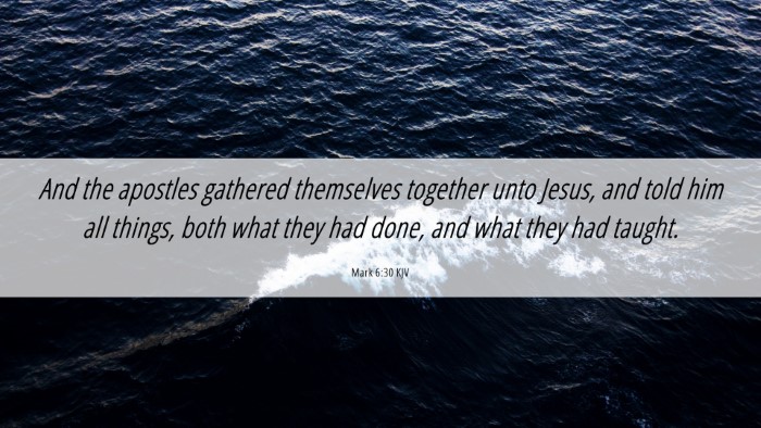Picture 06 - Mark 6:30 KJV Desktop Wallpaper - And the apostles gathered themselves together - Desktop Bible Verse Wallpaper