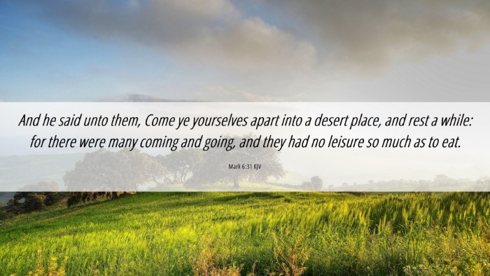 Picture 06 - Mark 6:31 KJV Desktop Wallpaper - And he said unto them, Come ye yourselves apart - Desktop Bible Verse Wallpaper