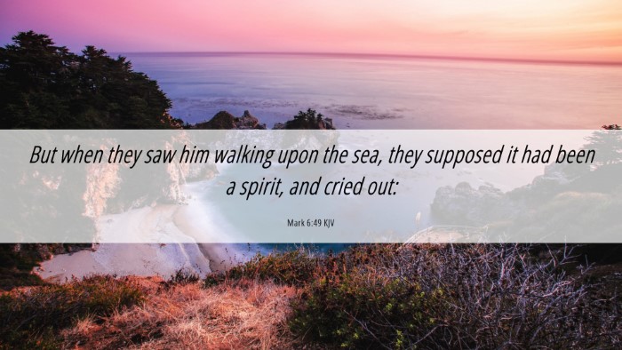 Picture 06 - Mark 6:49 KJV Desktop Wallpaper - But when they saw him walking upon the sea, they - Desktop Bible Verse Wallpaper