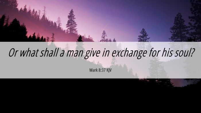Picture 06 - Mark 8:37 KJV Desktop Wallpaper - Or what shall a man give in exchange for his - Desktop Bible Verse Wallpaper