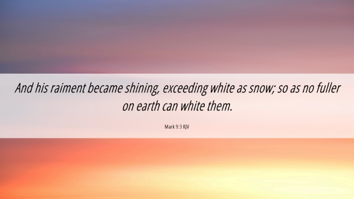 Picture 06 - Mark 9:3 KJV Desktop Wallpaper - And his raiment became shining, exceeding white - Desktop Bible Verse Wallpaper