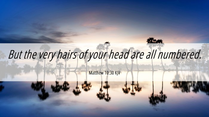 Picture 06 - Matthew 10:30 KJV Desktop Wallpaper - But the very hairs of your head are all - Desktop Bible Verse Wallpaper