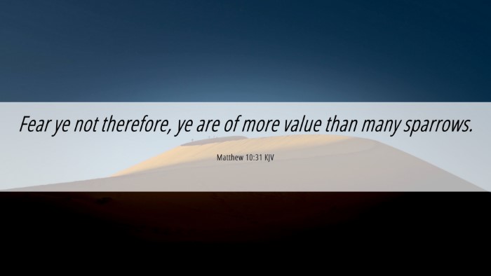 Picture 06 - Matthew 10:31 KJV Desktop Wallpaper - Fear ye not therefore, ye are of more value than - Desktop Bible Verse Wallpaper
