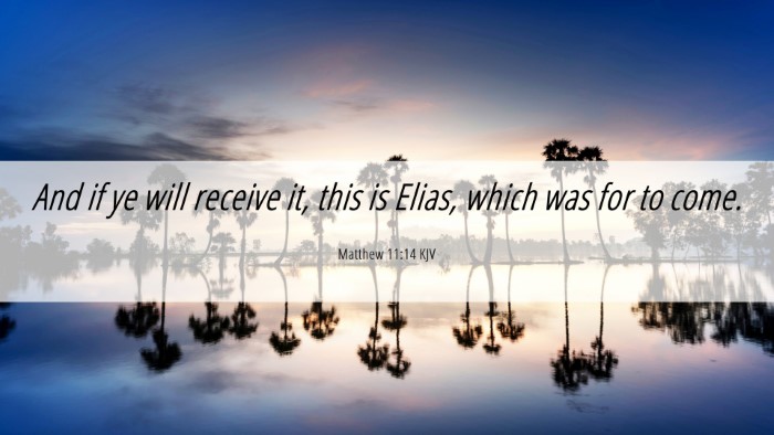 Picture 06 - Matthew 11:14 KJV Desktop Wallpaper - And if ye will receive it, this is Elias, which - Desktop Bible Verse Wallpaper
