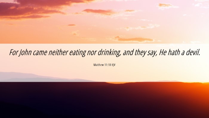 Picture 06 - Matthew 11:18 KJV Desktop Wallpaper - For John came neither eating nor drinking, and - Desktop Bible Verse Wallpaper