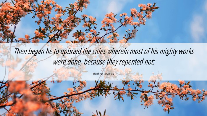 Picture 06 - Matthew 11:20 KJV Desktop Wallpaper - Then began he to upbraid the cities wherein most - Desktop Bible Verse Wallpaper