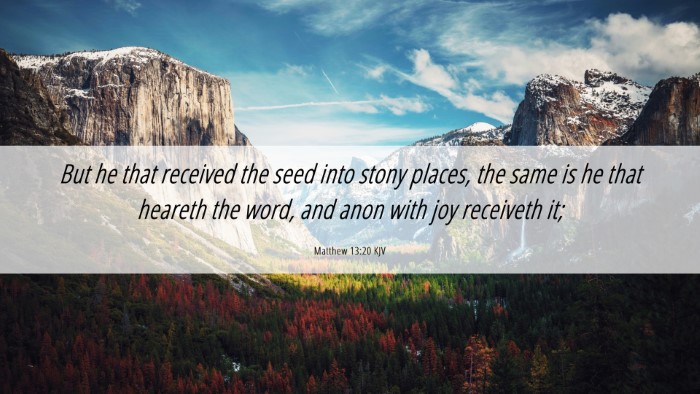 Picture 06 - Matthew 13:20 KJV Desktop Wallpaper - But he that received the seed into stony places, - Desktop Bible Verse Wallpaper