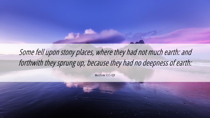 Picture 06 - Matthew 13:5 KJV Desktop Wallpaper - Some fell upon stony places, where they had not - Desktop Bible Verse Wallpaper