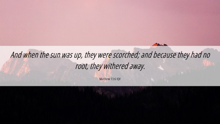 Picture 06 - Matthew 13:6 KJV Desktop Wallpaper - And when the sun was up, they were scorched; and - Desktop Bible Verse Wallpaper