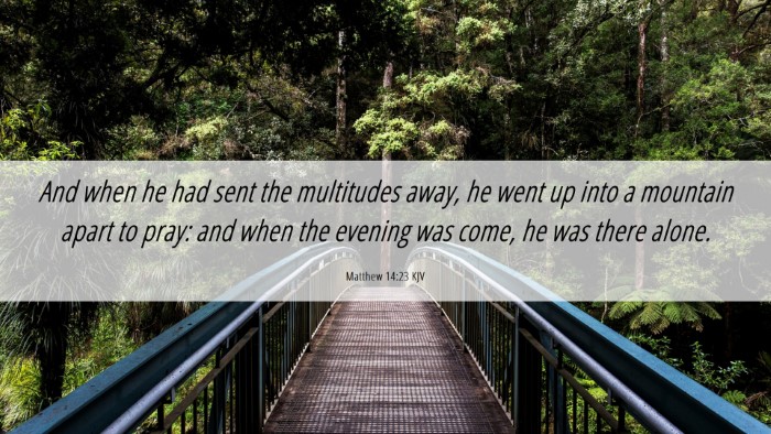 Picture 06 - Matthew 14:23 KJV Desktop Wallpaper - And when he had sent the multitudes away, he went - Desktop Bible Verse Wallpaper