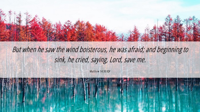 Picture 06 - Matthew 14:30 KJV Desktop Wallpaper - But when he saw the wind boisterous, he was - Desktop Bible Verse Wallpaper
