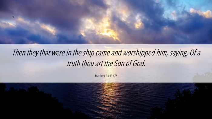 Picture 06 - Matthew 14:33 KJV Desktop Wallpaper - Then they that were in the ship came and - Desktop Bible Verse Wallpaper