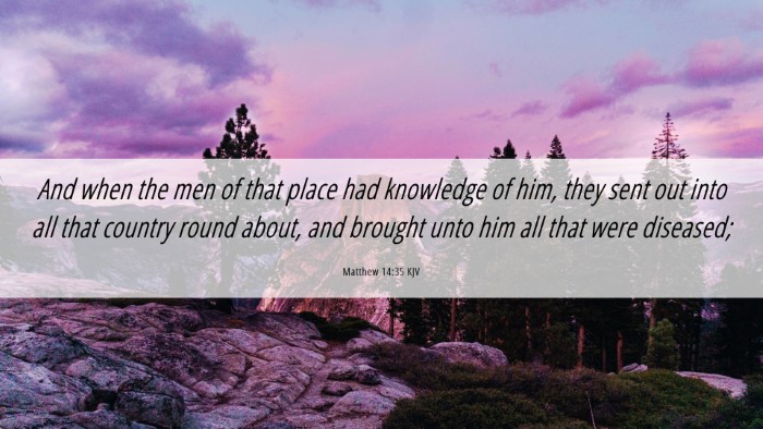 Picture 06 - Matthew 14:35 KJV Desktop Wallpaper - And when the men of that place had knowledge of - Desktop Bible Verse Wallpaper