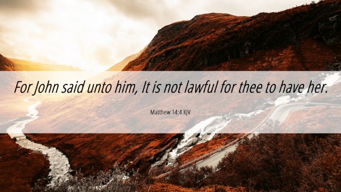 Picture 06 - Matthew 14:4 KJV Desktop Wallpaper - For John said unto him, It is not lawful for thee - Desktop Bible Verse Wallpaper
