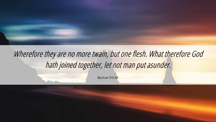 Picture 06 - Matthew 19:6 KJV Desktop Wallpaper - Wherefore they are no more twain, but one flesh. - Desktop Bible Verse Wallpaper