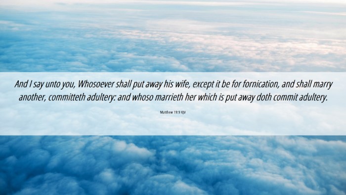 Picture 06 - Matthew 19:9 KJV Desktop Wallpaper - And I say unto you, Whosoever shall put away his - Desktop Bible Verse Wallpaper