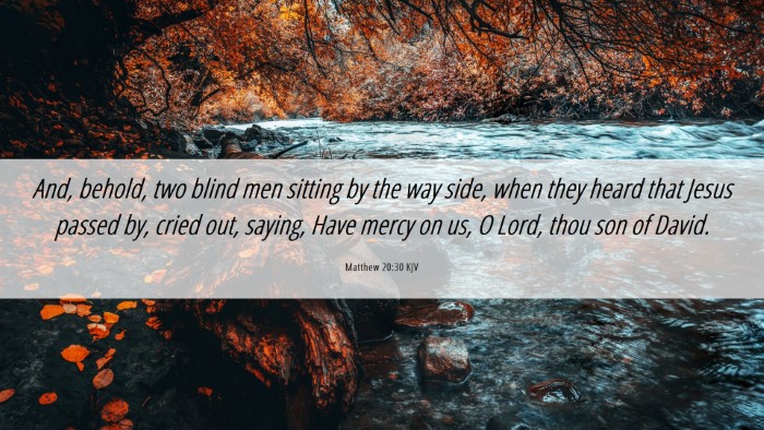 Picture 06 - Matthew 20:30 KJV Desktop Wallpaper - And, behold, two blind men sitting by the way - Desktop Bible Verse Wallpaper