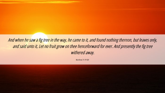 Picture 06 - Matthew 21:19 KJV Desktop Wallpaper - And when he saw a fig tree in the way, he came to - Desktop Bible Verse Wallpaper