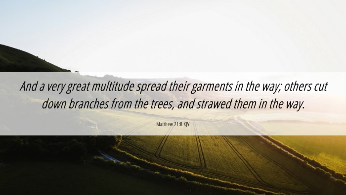 Picture 06 - Matthew 21:8 KJV Desktop Wallpaper - And a very great multitude spread their garments - Desktop Bible Verse Wallpaper