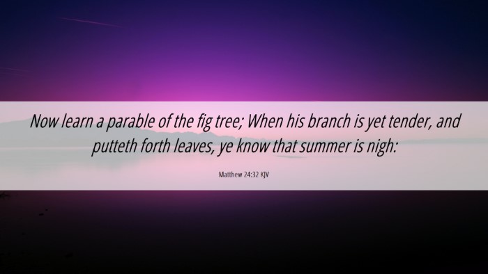 Picture 06 - Matthew 24:32 KJV Desktop Wallpaper - Now learn a parable of the fig tree; When his - Desktop Bible Verse Wallpaper