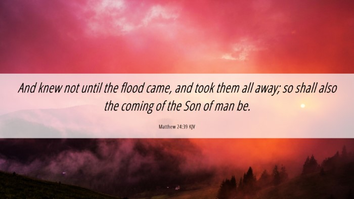 Picture 06 - Matthew 24:39 KJV Desktop Wallpaper - And knew not until the flood came, and took them - Desktop Bible Verse Wallpaper