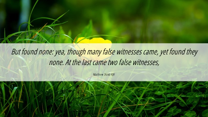 Picture 06 - Matthew 26:60 KJV Desktop Wallpaper - But found none: yea, though many false witnesses - Desktop Bible Verse Wallpaper