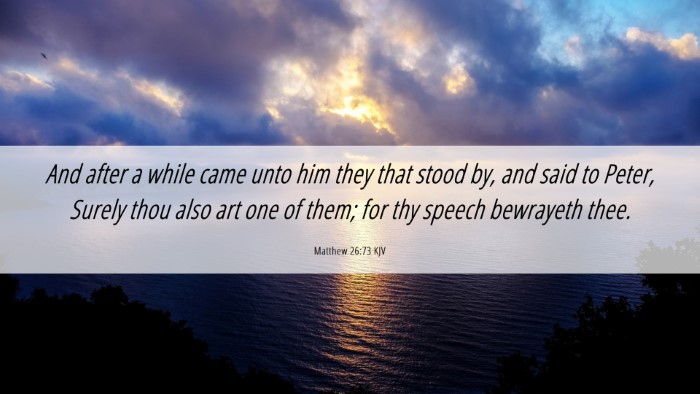 Picture 06 - Matthew 26:73 KJV Desktop Wallpaper - And after a while came unto him they that stood - Desktop Bible Verse Wallpaper