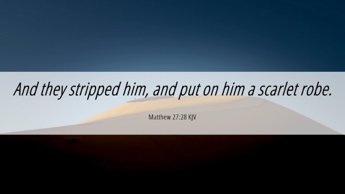 Picture 06 - Matthew 27:28 KJV Desktop Wallpaper - And they stripped him, and put on him a scarlet - Desktop Bible Verse Wallpaper
