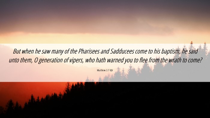 Picture 06 - Matthew 3:7 KJV Desktop Wallpaper - But when he saw many of the Pharisees and - Desktop Bible Verse Wallpaper