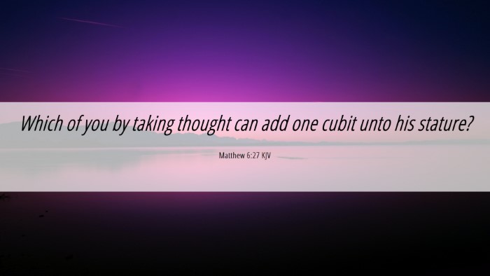 Picture 06 - Matthew 6:27 KJV Desktop Wallpaper - Which of you by taking thought can add one cubit - Desktop Bible Verse Wallpaper