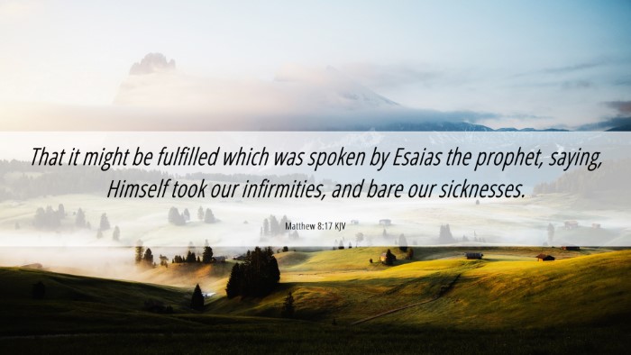 Picture 06 - Matthew 8:17 KJV Desktop Wallpaper - That it might be fulfilled which was spoken by - Desktop Bible Verse Wallpaper