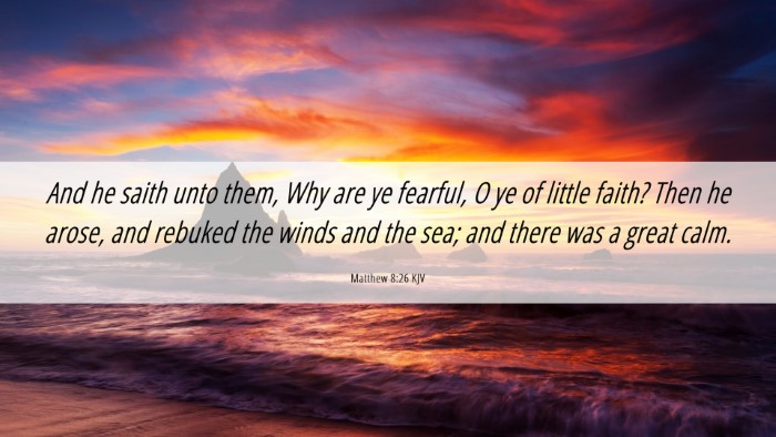 Picture 06 - Matthew 8:26 KJV Desktop Wallpaper - And he saith unto them, Why are ye fearful, O ye - Desktop Bible Verse Wallpaper