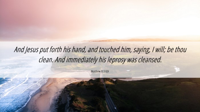 Picture 06 - Matthew 8:3 KJV Desktop Wallpaper - And Jesus put forth his hand, and touched him, - Desktop Bible Verse Wallpaper
