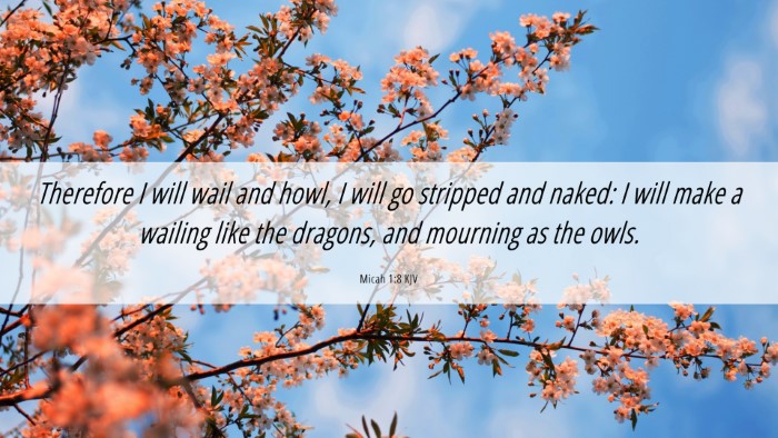 Picture 06 - Micah 1:8 KJV Desktop Wallpaper - Therefore I will wail and howl, I will go - Desktop Bible Verse Wallpaper