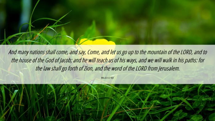 Picture 06 - Micah 4:2 KJV Desktop Wallpaper - And many nations shall come, and say, Come, and - Desktop Bible Verse Wallpaper