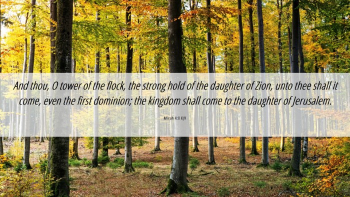 Picture 06 - Micah 4:8 KJV Desktop Wallpaper - And thou, O tower of the flock, the strong hold - Desktop Bible Verse Wallpaper