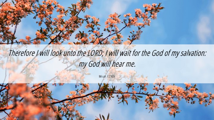 Picture 06 - Micah 7:7 KJV Desktop Wallpaper - Therefore I will look unto the LORD; I will wait - Desktop Bible Verse Wallpaper