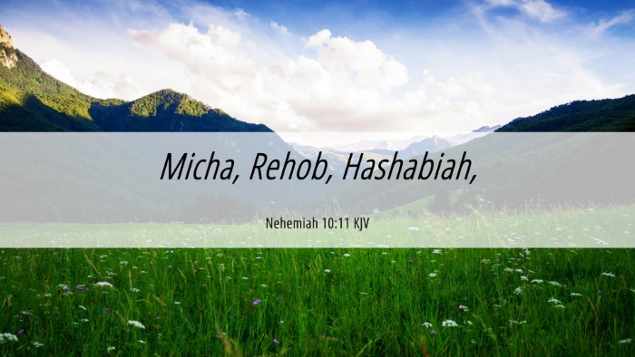 Picture 06 - Nehemiah 10:11 KJV Desktop Wallpaper - Micha, Rehob, - Desktop Bible Verse Wallpaper