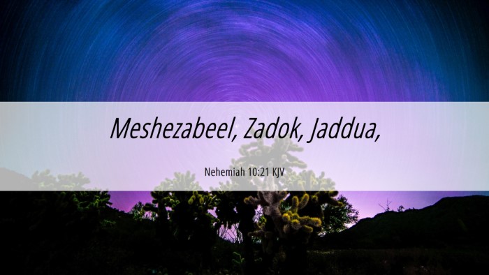 Picture 06 - Nehemiah 10:21 KJV Desktop Wallpaper - Meshezabeel, Zadok, - Desktop Bible Verse Wallpaper