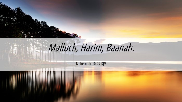 Picture 06 - Nehemiah 10:27 KJV Desktop Wallpaper - Malluch, Harim, - Desktop Bible Verse Wallpaper