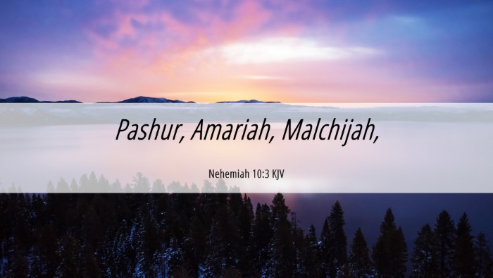Picture 06 - Nehemiah 10:3 KJV Desktop Wallpaper - Pashur, Amariah, - Desktop Bible Verse Wallpaper