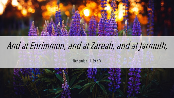 Picture 06 - Nehemiah 11:29 KJV Desktop Wallpaper - And at Enrimmon, and at Zareah, and at - Desktop Bible Verse Wallpaper
